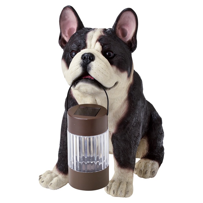 顼饤  ɱ ͶƳ LED ǥ饤 󥵡  ե֥ɥå 顼ʥ 17.5߱30߹⤵31cm 1ñ Ω    ȥ     