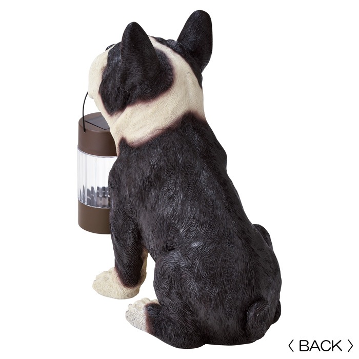 顼饤  ɱ ͶƳ LED ǥ饤 󥵡  ե֥ɥå 顼ʥ 17.5߱30߹⤵31cm 1ñ Ω    ȥ     