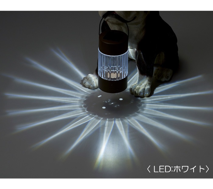 顼饤  ɱ ͶƳ LED ǥ饤 󥵡  ե֥ɥå 顼ʥ 17.5߱30߹⤵31cm 1ñ Ω    ȥ     