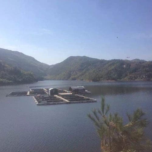 キャビアとブラックマカロンのギフトボックス