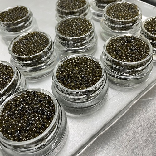 キャビアとブラックマカロンのギフトボックス