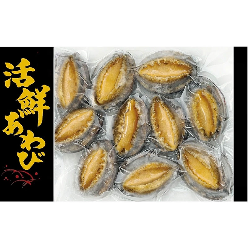 殻・肝付き 生食用冷凍あわび10個入り500g 小(43~53g)
