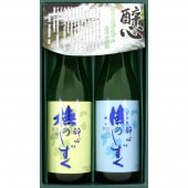 酔心 ぶなのしずく 酒蔵直送便（720ml)×２本セット　（送料無料）