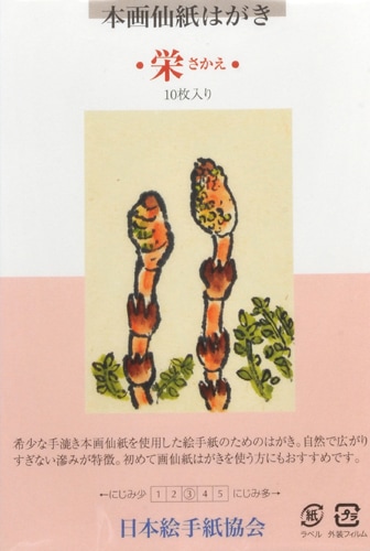 �����ʱɡ�10����