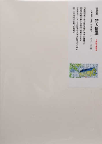 特大信濃(10枚入)　