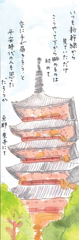 �ܲ����Ϥ���������Ĺ����ʣ���������