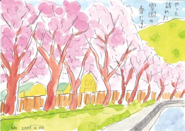 �ܲ����Ϥ������褳������ʣ���������