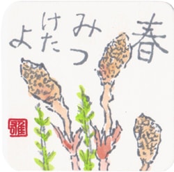 ���ꥳ��������10�祻�å�