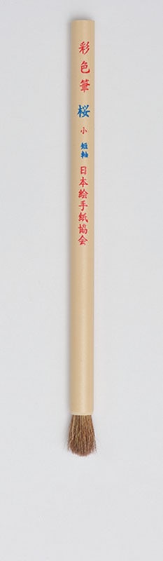 桜　（小）　短軸 /