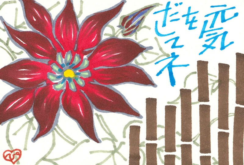 ���ԥå����㥪����������24�����å�