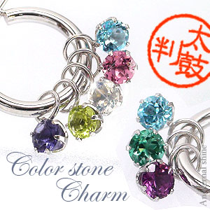 フープピアス カラーストーン ロードライトガーネット チャーム K14ホワイトゴールド 色石 パーツ 4mmラウンド(※別売り) レディース