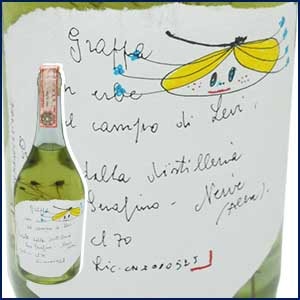 未開封！ロマーノ　レヴィ　2005年　グラッパ無添加ハーブ&スパイス　タネ 未開封！ロマーノ レヴィ 2005年 グラッパ無添加ハーブ&スパイス タネ
