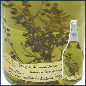 未開封！ロマーノ　レヴィ　2005年　グラッパ無添加ハーブ&スパイス　タネ 未開封！ロマーノ レヴィ 2005年 グラッパ無添加ハーブ&スパイス