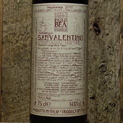 ＜パオロ・ベア＞サン・ヴァレンティーノ 2015<br>San Valentino 2015 / Paolo Bea