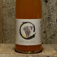 ＜クリストフ・リンデンローブ＞エルファンタ・シトロン 2023<br>Elefanta Citron 2023 / Christophe Lindenlaub