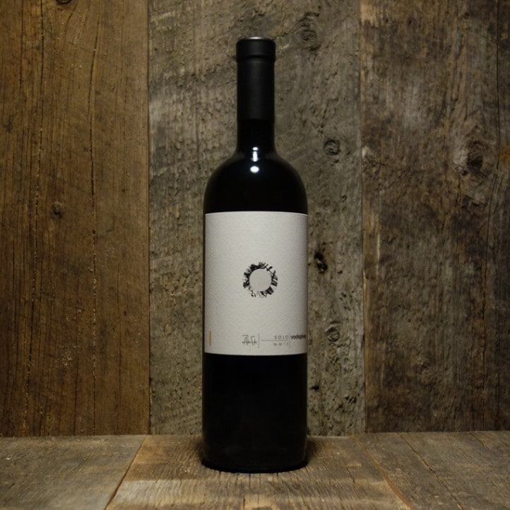 【標本】ヴァズデメロゾウカブト　ボリビア産　100.1ミリ　飼育品ＷＦ2 ヴァズデメロゾウカブト 107/78 成虫ペア - INSECT SHOP 美咲