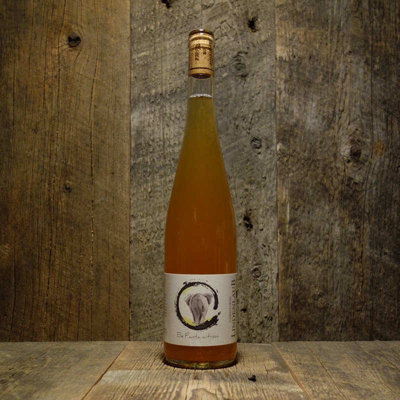 ＜クリストフ・リンデンローブ＞エルファンタ・シトロン 2023<br>Elefanta Citron 2023 / Christophe Lindenlaub