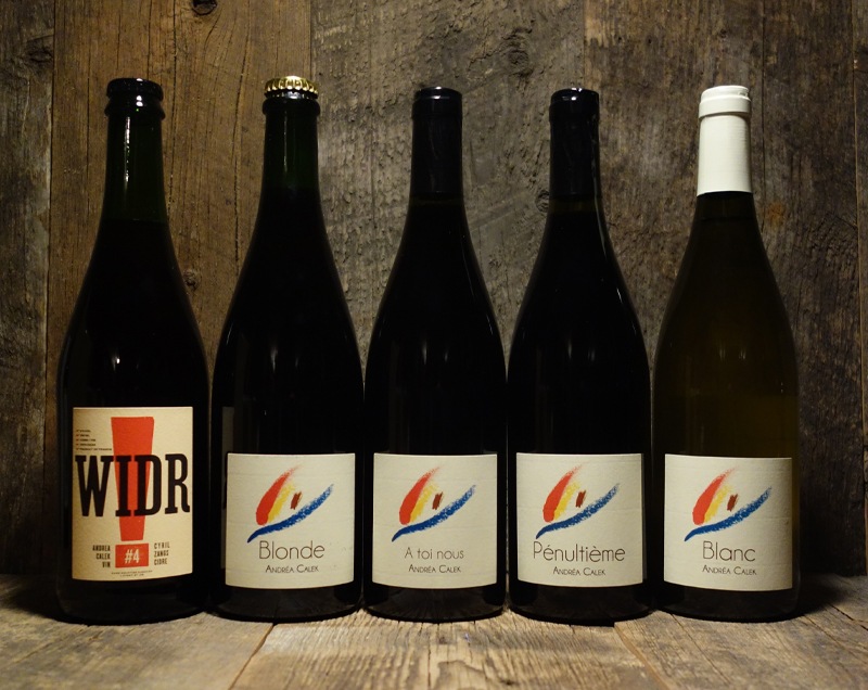 ＜アンドレア・カレク＞ワイダー 2021<br>Widr 2021 / Andrea Calek