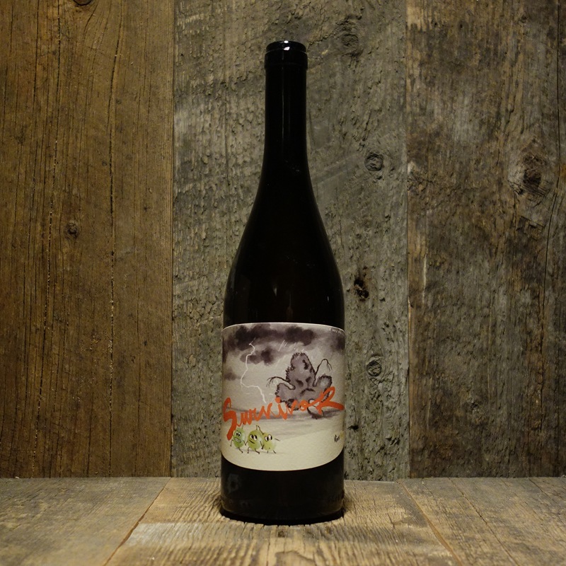 パーネヴィーノ 2本 パーネヴィーノ 2本 【公式通販】