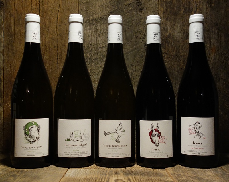 Bourgogne Aligoté 2022 2本セット ヴィニ・ヴィティ・ヴィンチ＞ブルゴーニュ・アリゴテ ブレオ