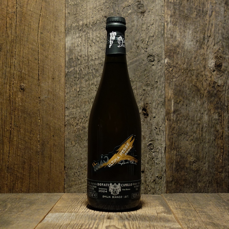 ボヴィクロスパーティー7　キャンバスアート　ウムル&タウィル　大会賞品 WIXOSSディーヴァグランプリ2024 AUTUMN | ゲーム・ホビー商品の販売