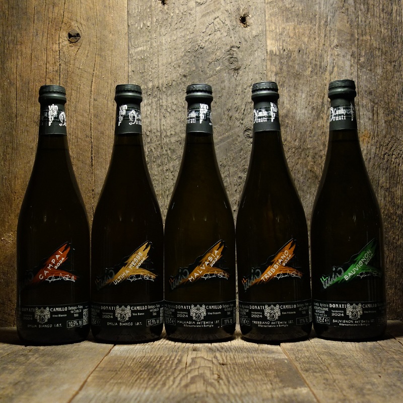 カミッロ・ドナーティ＞ソーヴィニョン・フリッツァンテ 2024<br