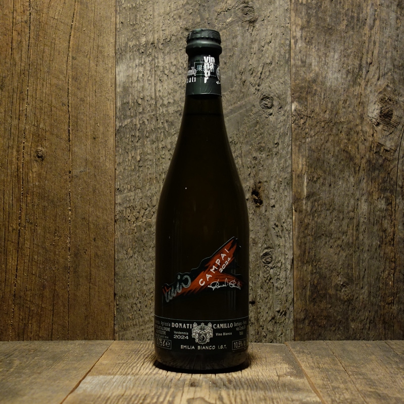 カミッロ・ドナーティ＞カンパイ 2024<br> Campai 2024 / Camillo