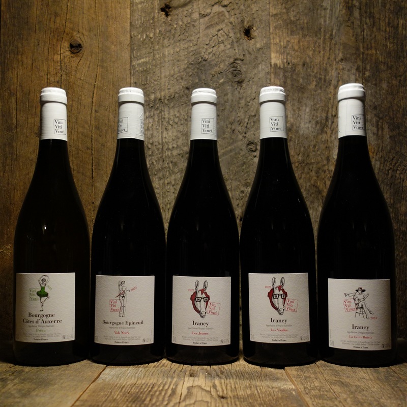 ＜ヴィニ・ヴィティ・ヴィンチ＞ブルゴーニュ・エピヌイユ・ヴァル・ノワール 2023<br>Bourgogne Epineuil Vals Noirs 2023 / Vini Viti Vinci