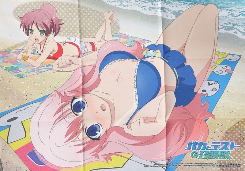 (グッズ)バカとテストと召喚獣 瑞希&美波 B3布ポスター ソフマップ Blu-ray BOX購入特典