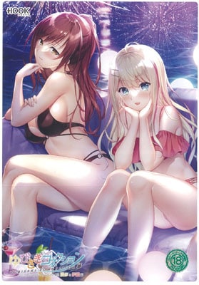 ゆびさきコネクション ミニファンディスク Vol.02 夏歩&伊織編 通常版