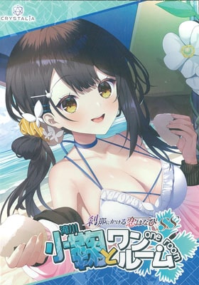 ����ˤ��������Ϥʤ�SS ���Ǥȥ��롼�� �������������С��դ�