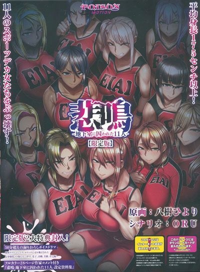 ���� -�ϲ����˼���줿11��- ������ *̤�����ʤΤ߼谷��