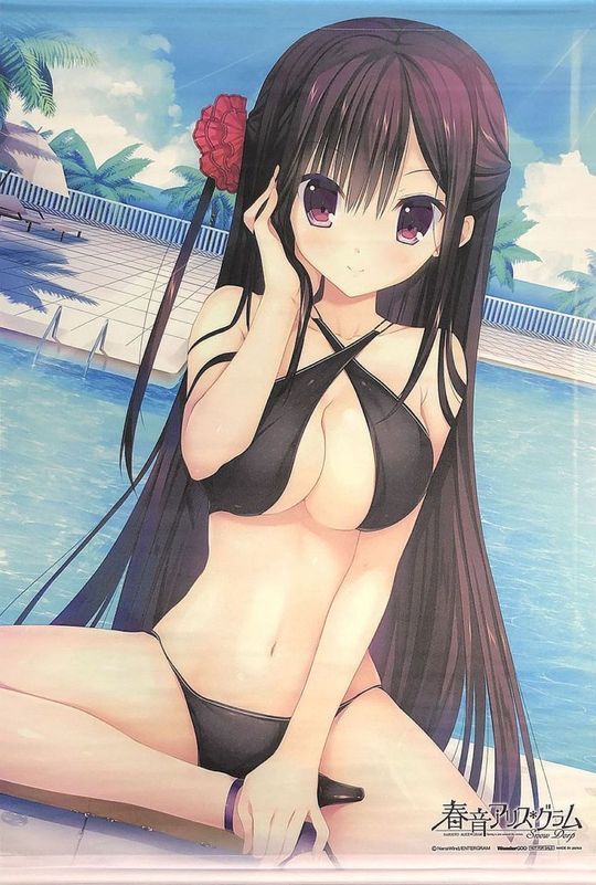 (���å�)�ղ����ꥹ������� Snow Drop(PS4/PSV) ��Ʋ���� B2���ڥ��ȥ꡼ WonderGoo������ŵ