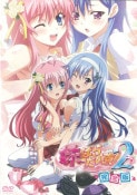 (18���˥�DVD)��Ѥ������ 2 ������