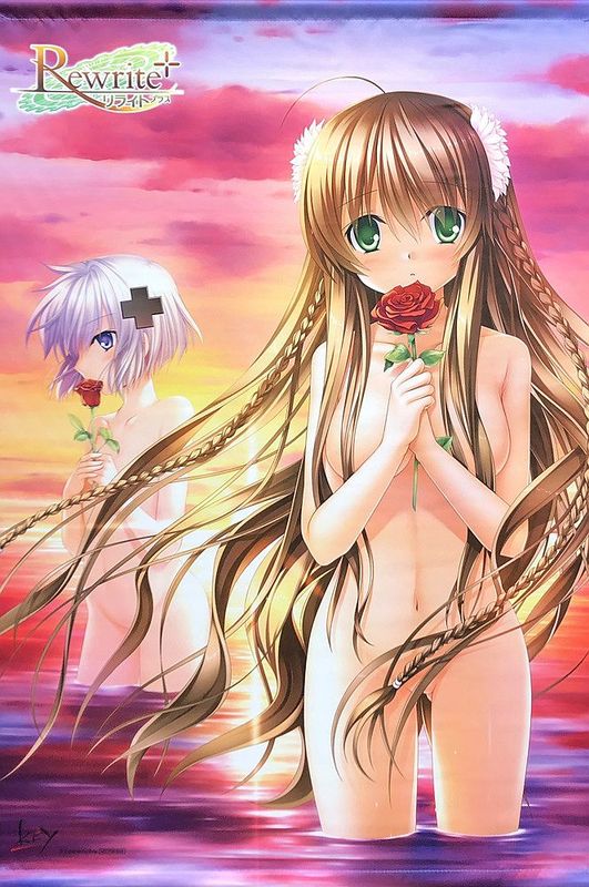 (Aグッズ)Rewrite+ 神戸小鳥&篝 B2タペストリー ソフマップ特典