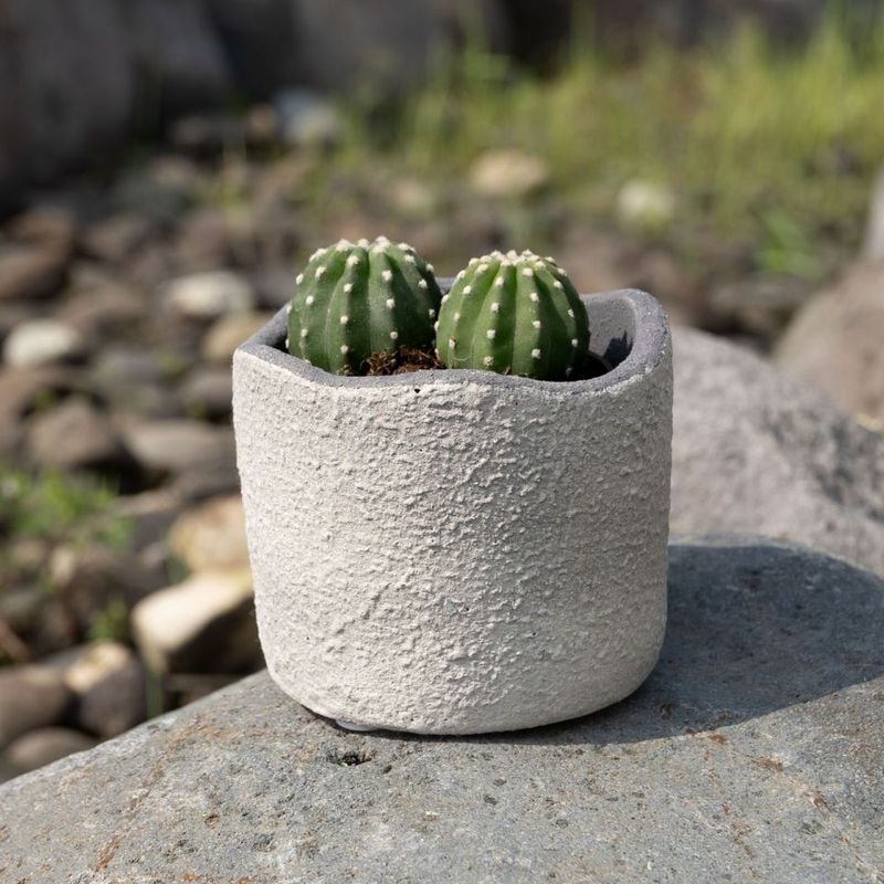モロ ｜ 3号 観葉植物 フェイクグリーン フラワーポッド プランター 植木鉢