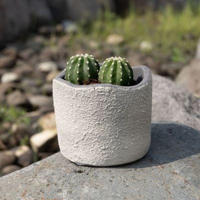 モロ ｜ 3号 観葉植物 フェイクグリーン フラワーポッド プランター 植木鉢のサムネイル1