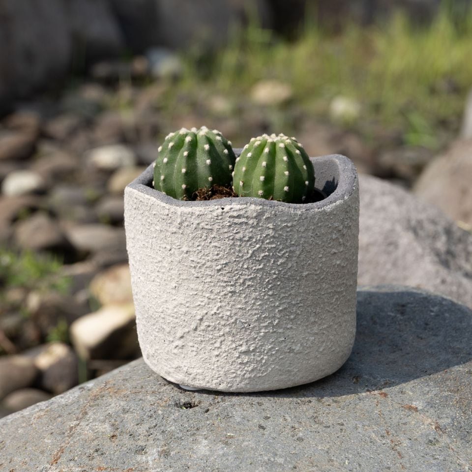 モロ ｜ 3号 観葉植物 フェイクグリーン フラワーポッド プランター 植木鉢