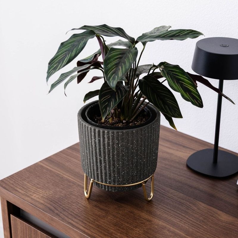 ルナ ｜ 4号 5号 観葉植物 フェイクグリーン フラワーポッド プランター 植木鉢