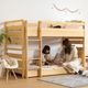 【開梱設置付き】 二段ベッド ひのき シングル ベッド ヒノキ 無垢材 すのこ 桐材 2段ベッド 分割 北欧 コンセント付き キッズ 子ども部屋 ロータイプ コンパクト ピンク 水色 シングルベッド　【F☆☆☆☆対応（Fフォースター）】