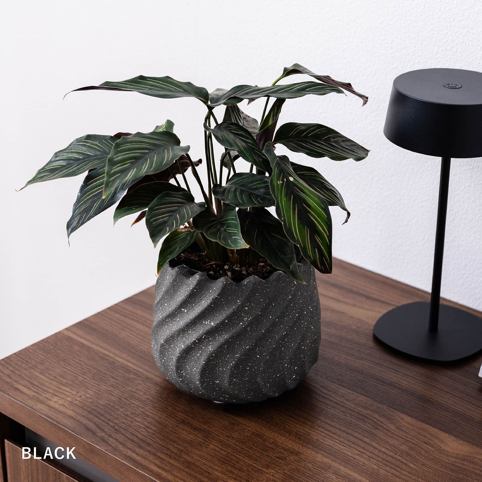 リラ ｜ 4号 5号 観葉植物 フェイクグリーン フラワーポッド プランター 植木鉢 画像16