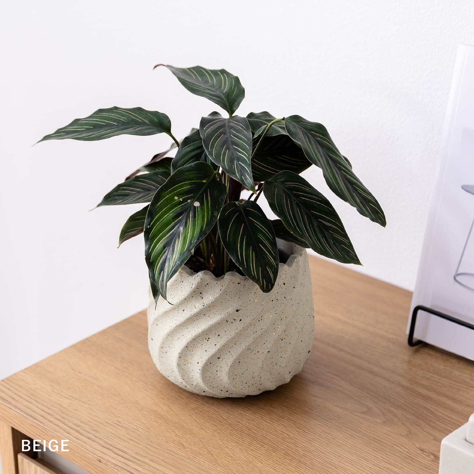 リラ ｜ 4号 5号 観葉植物 フェイクグリーン フラワーポッド プランター 植木鉢 画像17