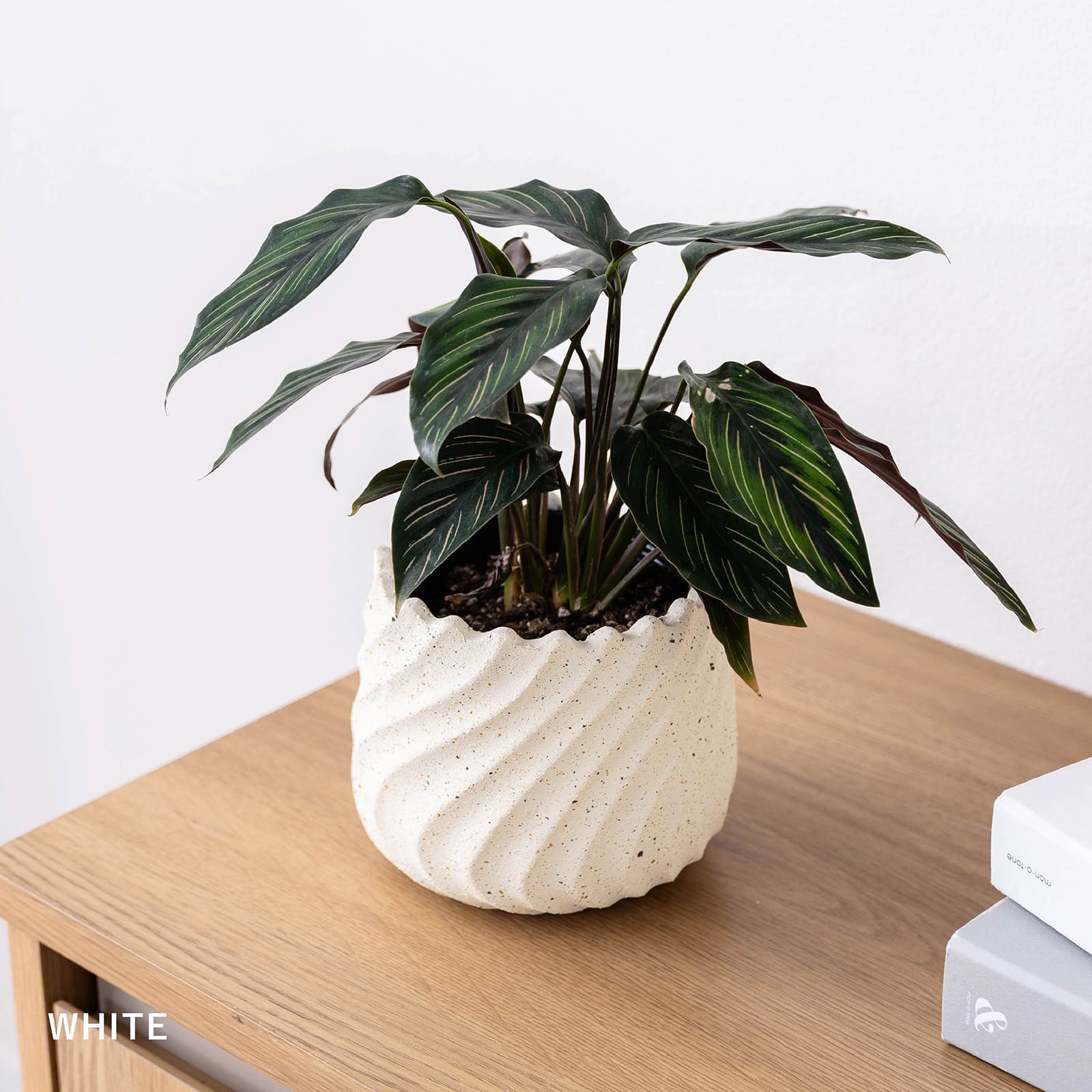 リラ ｜ 4号 5号 観葉植物 フェイクグリーン フラワーポッド プランター 植木鉢 画像18