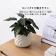 リラ ｜ 4号 5号 観葉植物 フェイクグリーン フラワーポッド プランター 植木鉢のサムネイル3