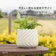 リラ ｜ 4号 5号 観葉植物 フェイクグリーン フラワーポッド プランター 植木鉢のサムネイル4