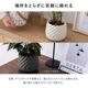 リラ ｜ 4号 5号 観葉植物 フェイクグリーン フラワーポッド プランター 植木鉢のサムネイル8