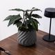 リラ ｜ 4号 5号 観葉植物 フェイクグリーン フラワーポッド プランター 植木鉢のサムネイル16