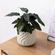 リラ ｜ 4号 5号 観葉植物 フェイクグリーン フラワーポッド プランター 植木鉢のサムネイル17
