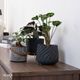 リラ ｜ 4号 5号 観葉植物 フェイクグリーン フラワーポッド プランター 植木鉢のサムネイル19
