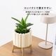 ヌノ ｜ 3号 4号 観葉植物 フェイクグリーン フラワーポッド プランター 植木鉢のサムネイル3